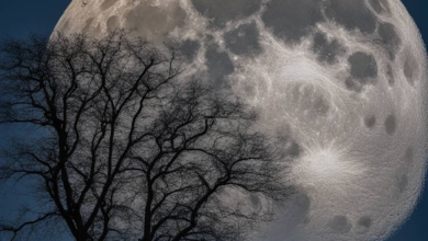 Blauer Supermond überrascht vergangene Nacht.