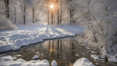 Schweizer Seen erreichen neue Rekordtemperaturen