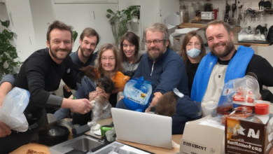 Muss man zukünftig auf Reddit für bestimmte Inhalte bezahlen?