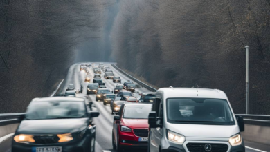 Viele Autofahrer kennen diese Fußgängerregel nicht