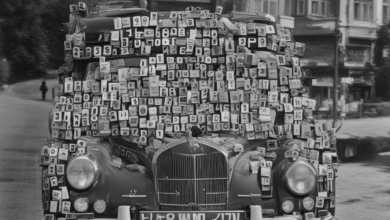Demnächst wird auch Buchstabencodes auf Nummernschildern von Autos sein