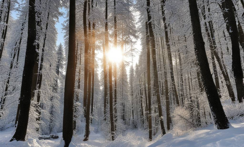 Bewaldete Wiesen im Jura weisen einer Studie zufolge überraschend hohe Artenvielfalt auf.