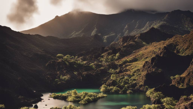 Brände auf Madeira lassen nach