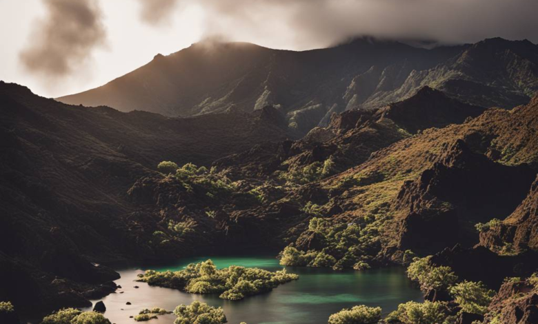 Brände auf Madeira lassen nach